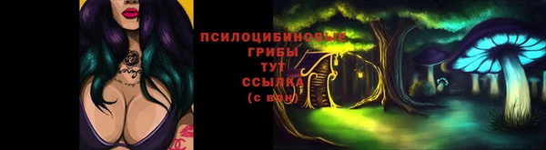 гидропоника Володарск