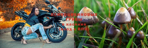 гашишное масло Ладушкин