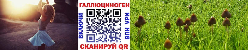 Галлюциногенные грибы GOLDEN TEACHER  где можно купить наркотик  hydra онион  Сызрань 